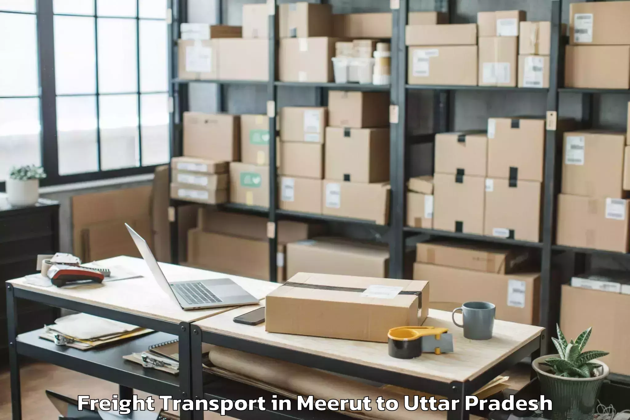 Professional Meerut to Bahua Freight Transport